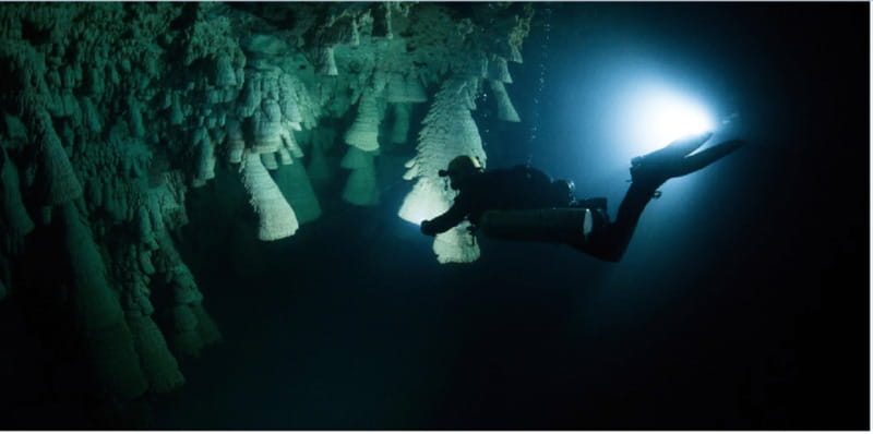 Quintana Roo: Cenote Dive - Timing and Pacing of the Tour