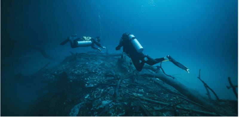 Quintana Roo: Cenote Dive - Practical Tips for Participants