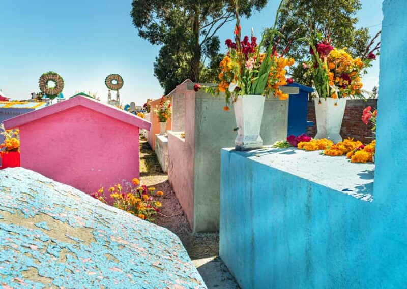 Quintana Roo: Sacred Souls Día de los Muertos Cultural Tour - Key Points