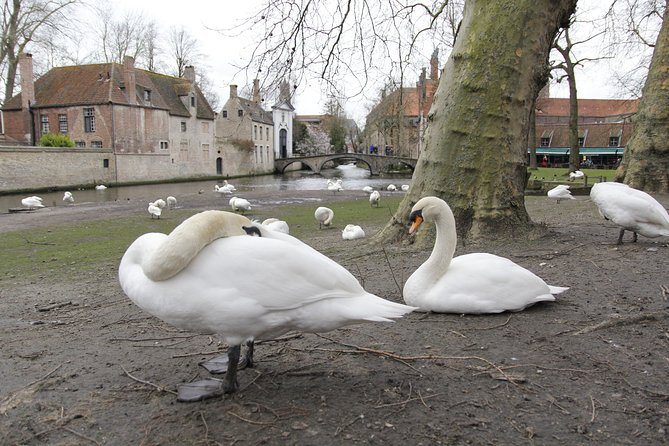 QuizQuest: A Trivia Tour of Bruges (Private Tour) - Discovering the Old Harbour at Jan Van Eyckplein