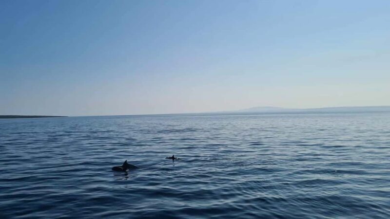 Rab: Zavratnica, Goli Otok and Sveti Grgur Boat Tour - Explore the Scenic Rab Boat Tour for €59