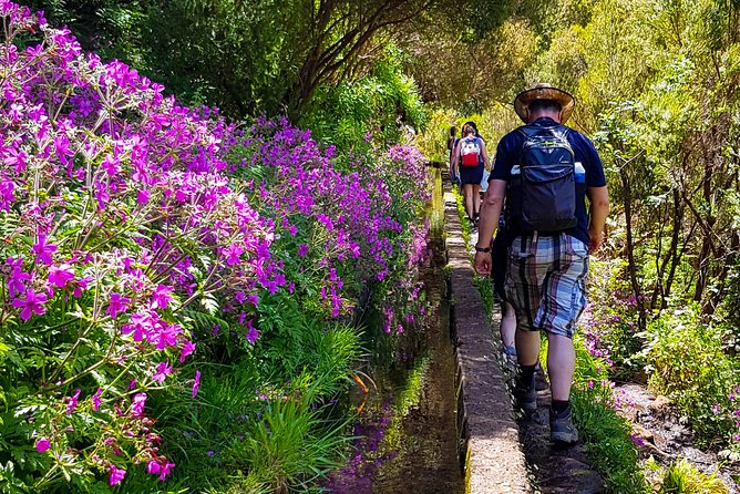Rabaçal 25 Fontes Levada Walk in Small Groups - Booking and Cancellation Policies