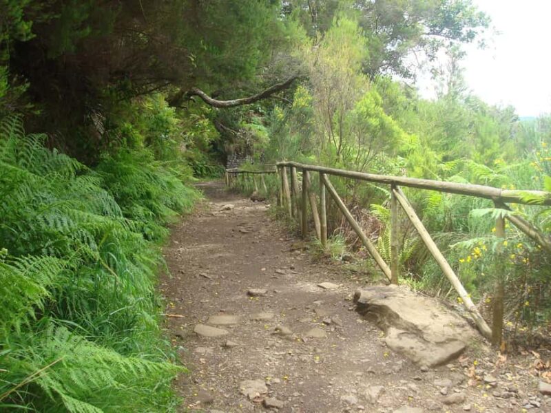 Rabaçal: 25 Fontes & Risco Levada Hiking Transfer - Comparing This Tour to Other Madeira Hikes