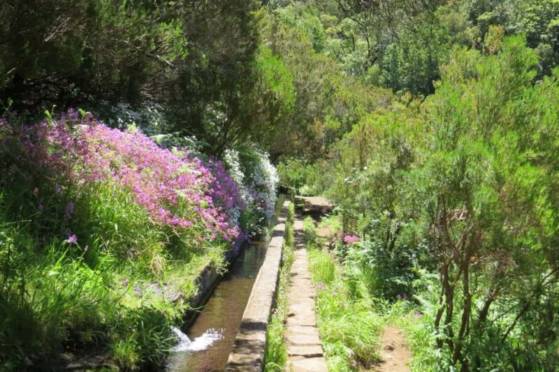 Rabaçal: 25 Fontes & Risco Levada Hiking Transfer - Final Thoughts on the Rabaçal Levada Experience
