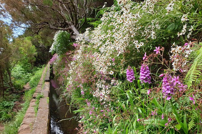 Rabaçal - 25 Fonts - Exciting Waterfalls and Nature Trails in Funchal