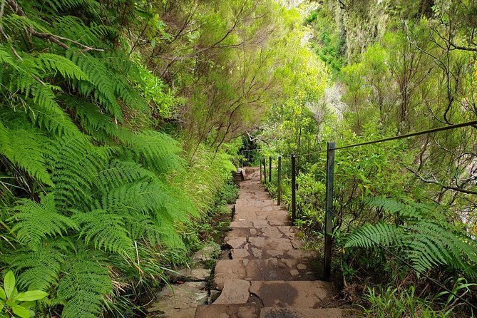 Rabaçal - 25 Fonts - Traversing the Levada do Rabaçal