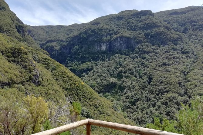 Rabaçal - 25 Fonts - Walking Through Madeiras Forests and Waterfalls