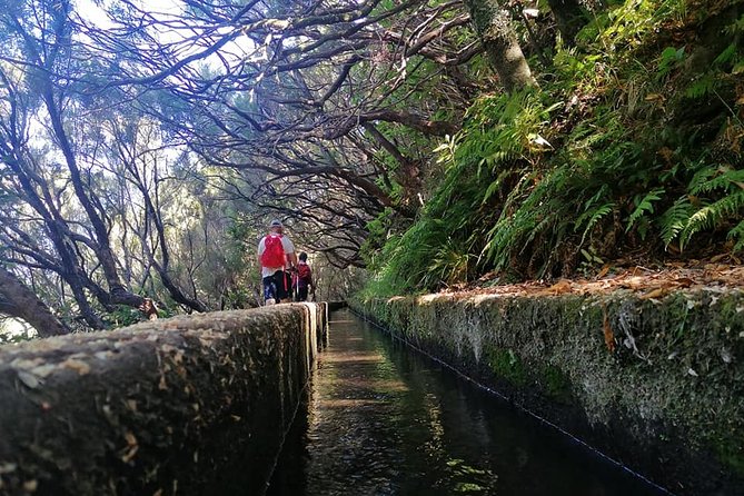 Rabaçal / 25 Fonts - Discover the Rabaçal / 25 Fonts Tour in Madeira for $47.40