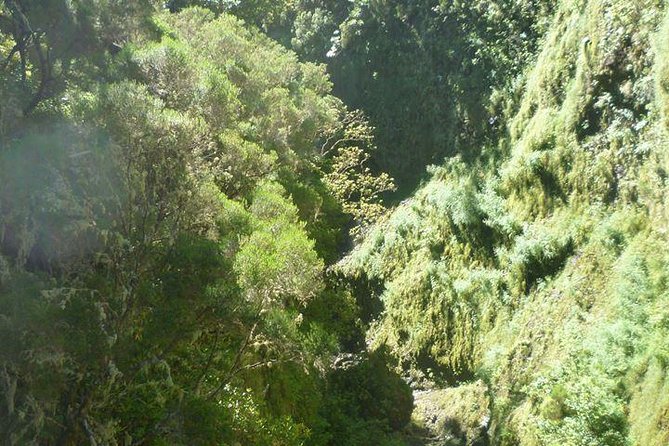 Rabaçal / 25 Fonts - Practical Tips for a Smooth Walk