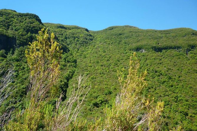 Rabaçal / 25 Fonts - Overall Value and Who Will Enjoy This Tour