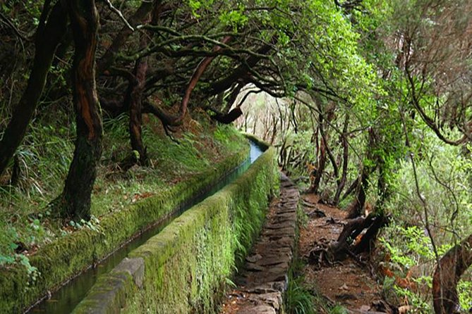 Rabacal - 25 Fountains - Explore Madeira’s Famous Levada Hike for a Full Day