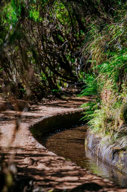 Rabaçal Nature Experience: Alecrim & Lagoa do Vento Hike - Rabaçal Nature Experience: Alecrim & Lagoa do Vento Hike