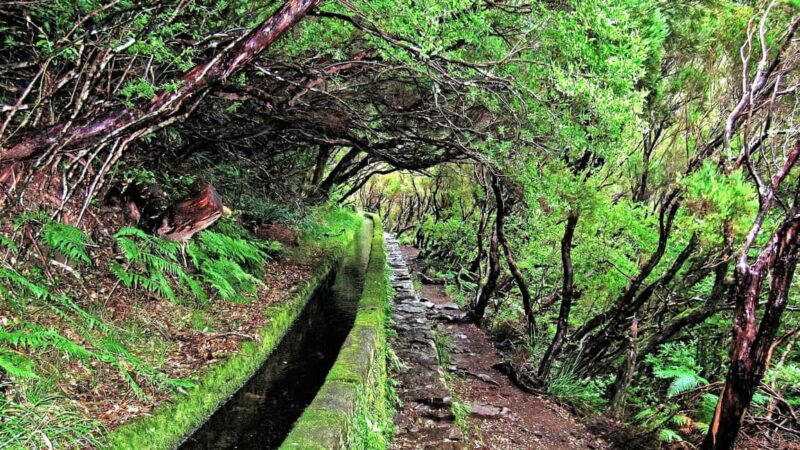 Rabacal Nature Walk: Lakes & Fountains - The Resilience of Local Farmers