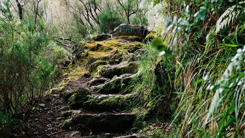 Rabacal Nature Walk: Lakes & Fountains - Waterfalls, Fountains, and Photo Stops