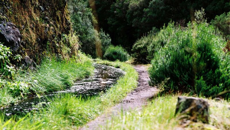 Rabacal Nature Walk: Lakes & Fountains - Flexibility with Booking and Cancellation