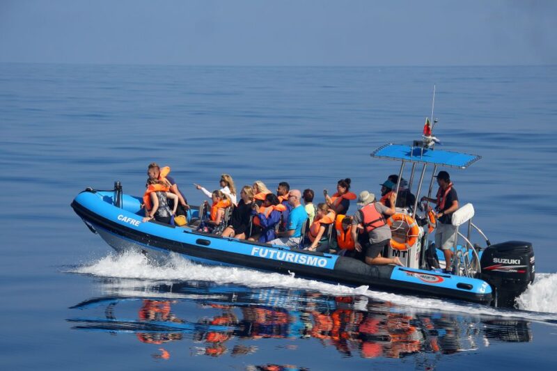 Rabo de Peixe: Sperm Whale Sanctuary Expedition - Searching for Sperm Whales in the Sanctuary