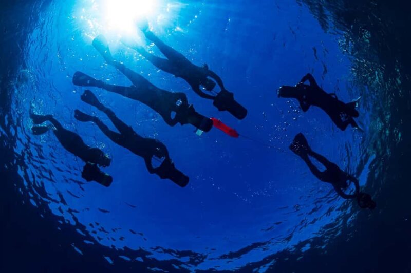 Radazul: Family-Friendly Jet Snorkeling Tour - Comparing Similar Experiences in Tenerife