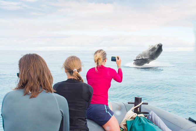 RAFT ADVENTURE - Whale Watch Discovery - Thrilling Whale Watching on Kauais Raft Adventure