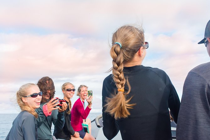 RAFT ADVENTURE - Whale Watch Discovery - What the 2-Hour Whale Watch Tour Entails