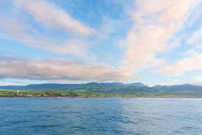 RAFT ADVENTURE - Whale Watch Discovery - The Bouncy, Bumpy Adventure Experience