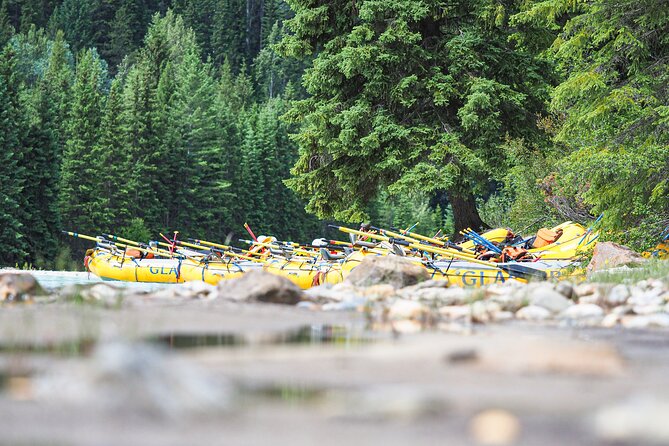 Rafting Adventure on the Kicking Horse River - The Experience: Fun, Safe, and Well-Organized