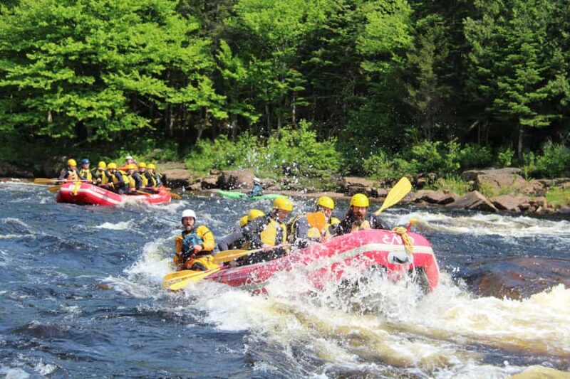 Rafting in Quebec City: A half-day of adventure and thrills! - All-Inclusive Equipment and Services