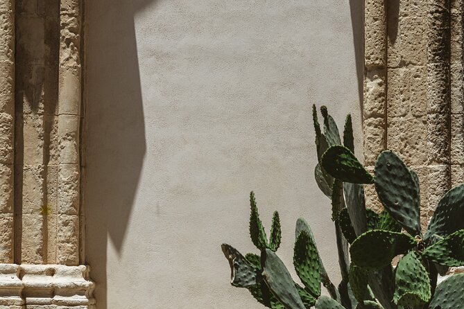 Ragusa Ibla Walking and Photography Tour - Ragusa Ibla Photography Tour Review: Final Thoughts