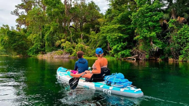Rainbow River: Paddle Board Tour Adventure - Indian Creek: A Shaded Florida Sanctuary