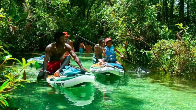 Rainbow River: Paddle Board Tour Adventure - Paddling Upstream Against the Gentle Current