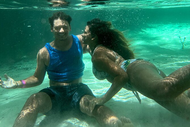 Rainbow Springs Clear Kayak and Paddleboard Guided Tours - Key Points