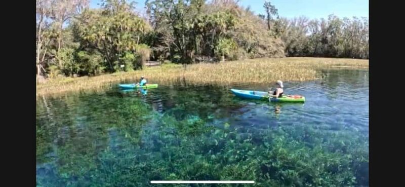 Rainbow Springs: Rainbow River Snorkel & Sightseeing Cruise - Explore Florida’s Scenic Rainbow River on a Small-Group Eco Cruise