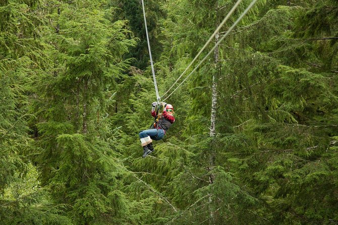 Rainforest Canopy & Zipline Adventure in Ketchikan, AK - Discover the Rainforest Canopy & Zipline Adventure in Ketchikan, AK