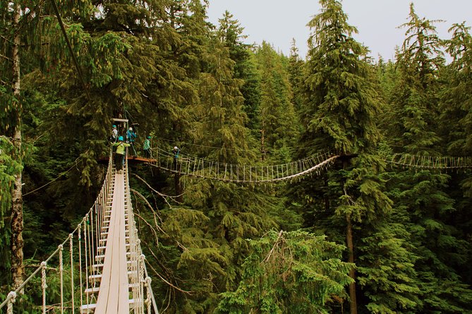Rainforest Canopy & Zipline Adventure in Ketchikan, AK - Ziplining Through the Tongass Forest
