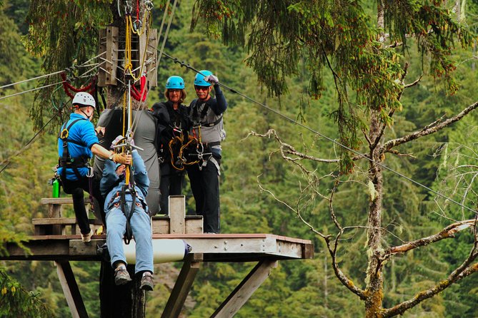 Rainforest Canopy & Zipline Adventure in Ketchikan, AK - Rappelling and Suspension Bridges