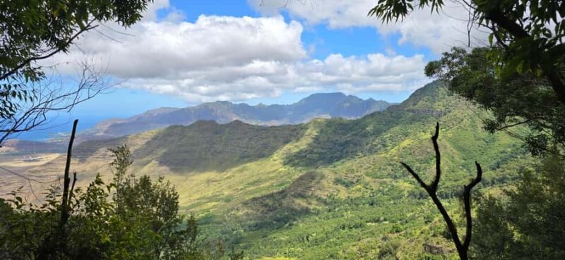 Rainforest to Reef Full-Day: Bike, Hike, Sail and Snorkel - Key Points
