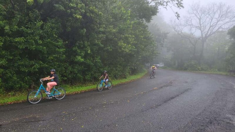 Rainforest to Reef Full-Day: Bike, Hike, Sail and Snorkel - What Sets This Tour Apart: The Diversity of Activities