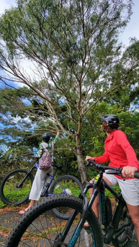 Rainforest to Reef Full-Day: Bike, Hike, Sail and Snorkel - Summary of the Value Proposition