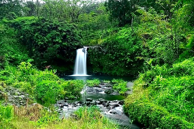Rainforest Tour to Hana and Beyond - Exploring Hana Town and Key Coastal Stops
