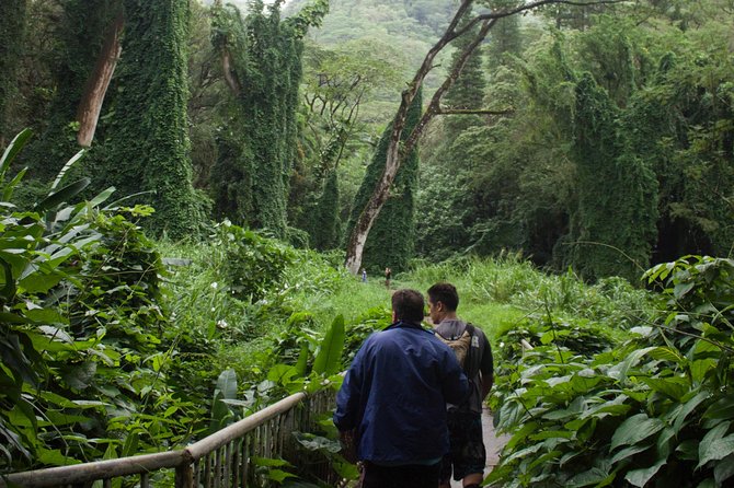 Rainforest Waterfall Trail and Shuttle Service - Accessibility and Physical Demands