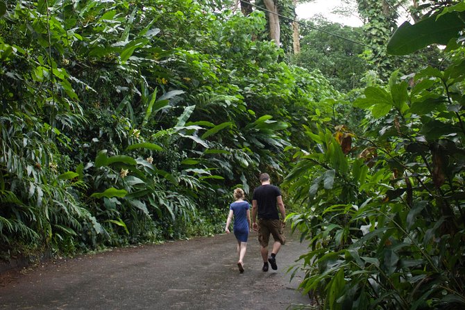 Rainforest Waterfall Trail and Shuttle Service - Cancellation Policy and Booking Flexibility