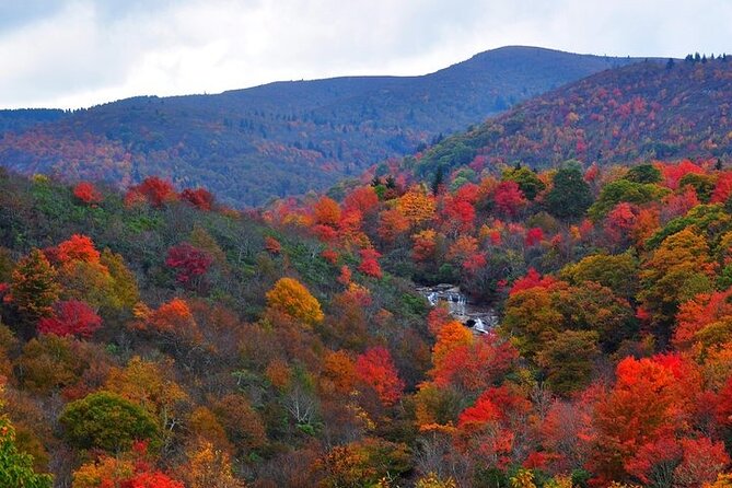 Rainforests and Waterfalls of Western NC - Scenic Overlooks and Cultural Stops