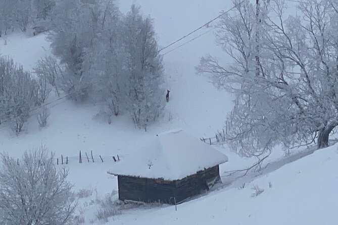 Rambling in Transylvania - Discovering Ciocanu at the Foot of Piatra Craiului