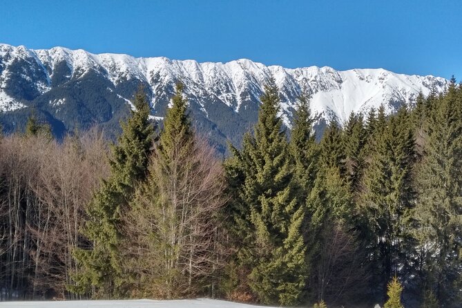 Rambling in Transylvania - Hike Through Piatra Craiului National Park