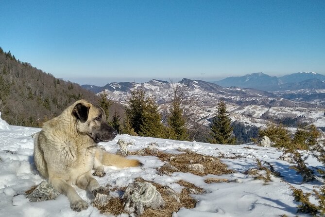 Rambling in Transylvania - What’s Included and What to Bring