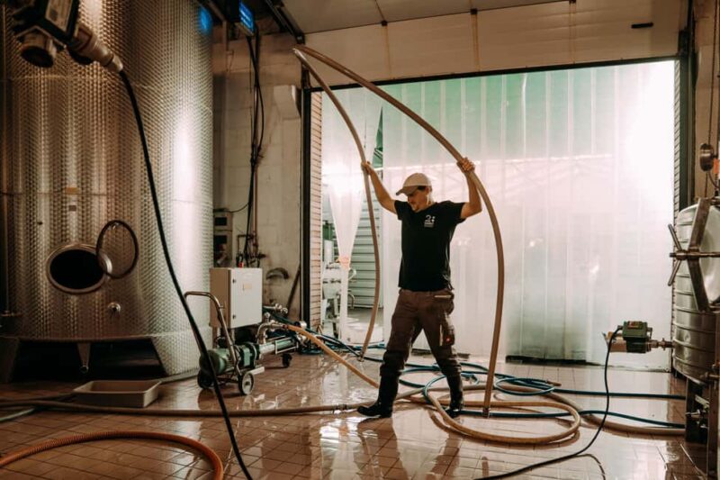 Ramsthal: Winery Tour with Wine Tasting and Tapas - Key Points