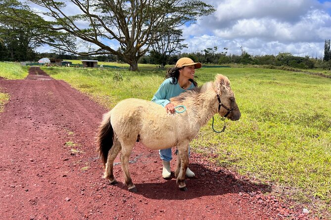 Ranch Tour & Animal Encounters - Explore the Heart of Hawaii at Ola Nani Ranch