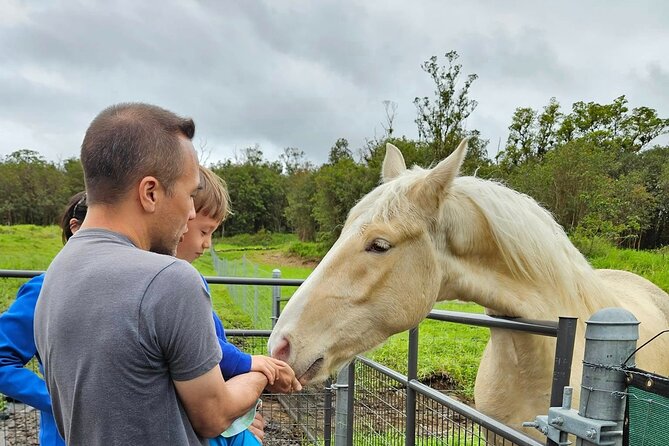 Ranch Tour & Animal Encounters - Walking Through Native Plants and Seasonal Fruits