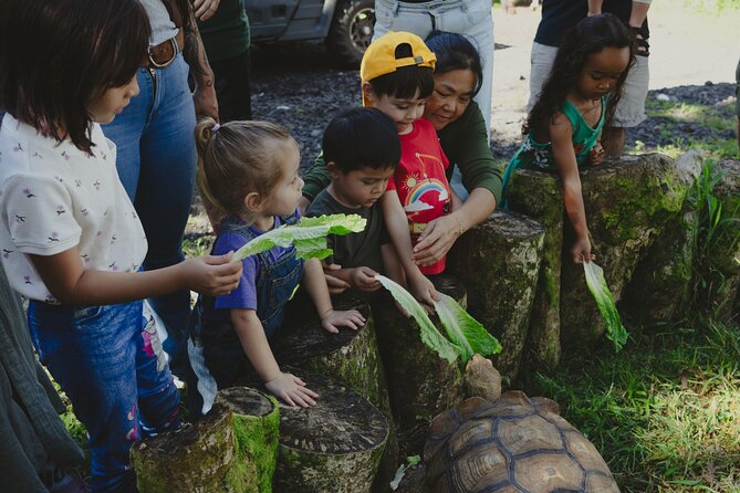 Ranch Tour & Animal Encounters - Comparing Similar Experiences in Big Island