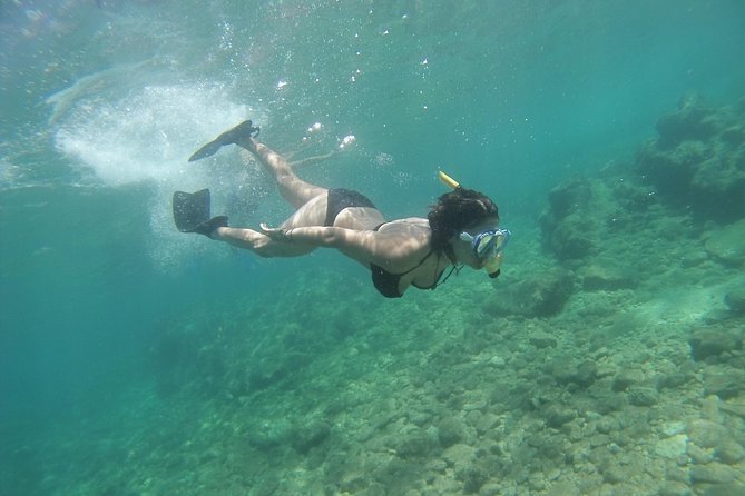 Rando-Palmée Getaway Around an island - The Experience of a Local Guide in Endoume