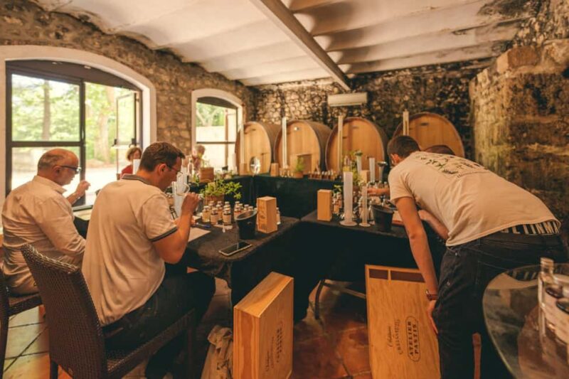 Randonnée sur les traces de Marcel Pagnol - The Provençal Picnic and Local Flavors